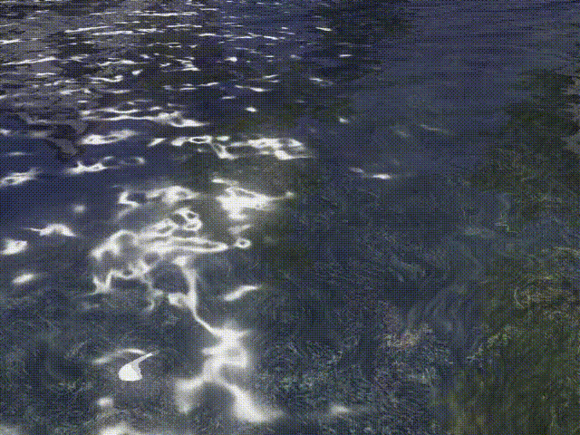 caustics